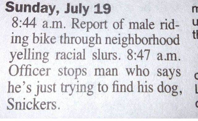 Daily Picdump
