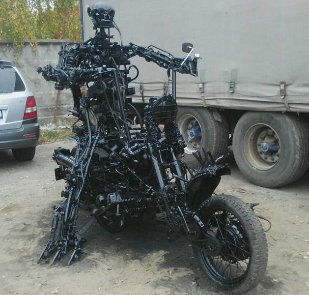 Daily Picdump