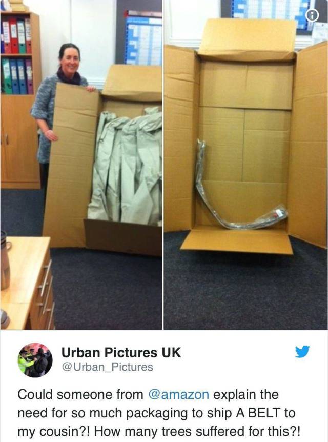 Content Image