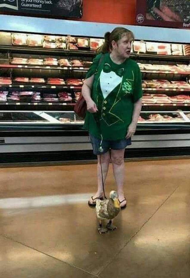 Content Image