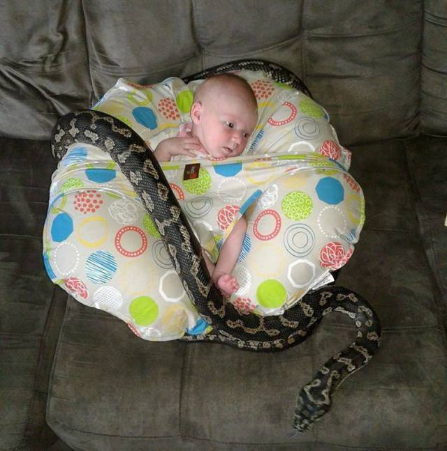 Content Image