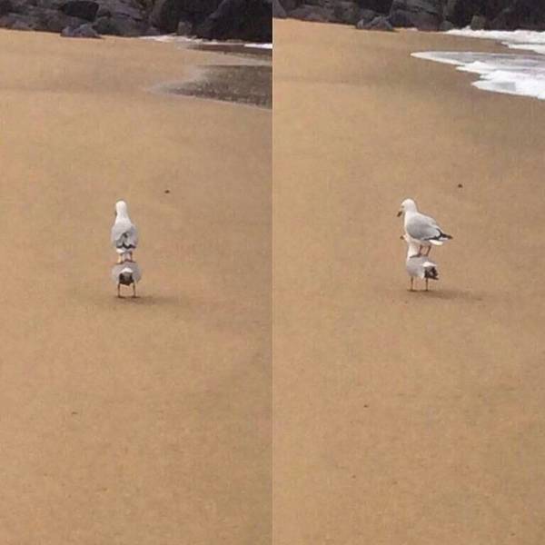 Morning Picdump