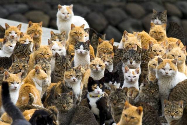 Daily Picdump [WEEKEND EDITION]
