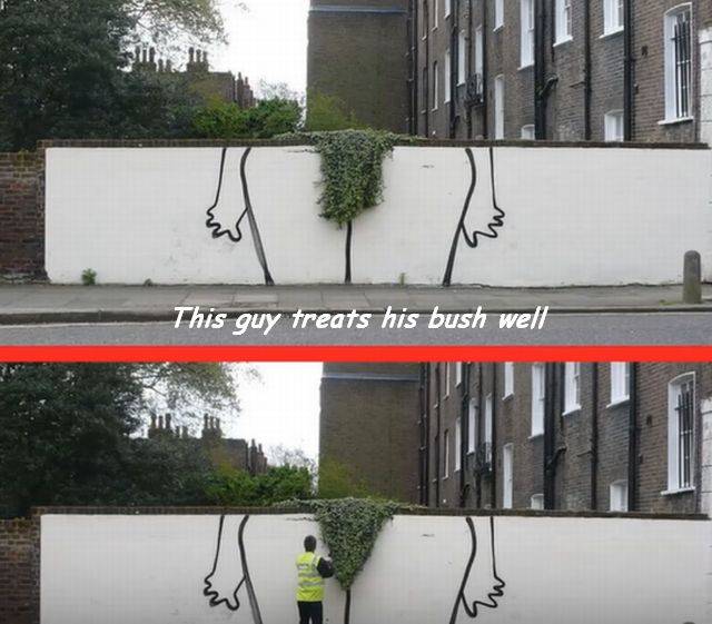 Daily Picdump [WEEKEND EDITION]