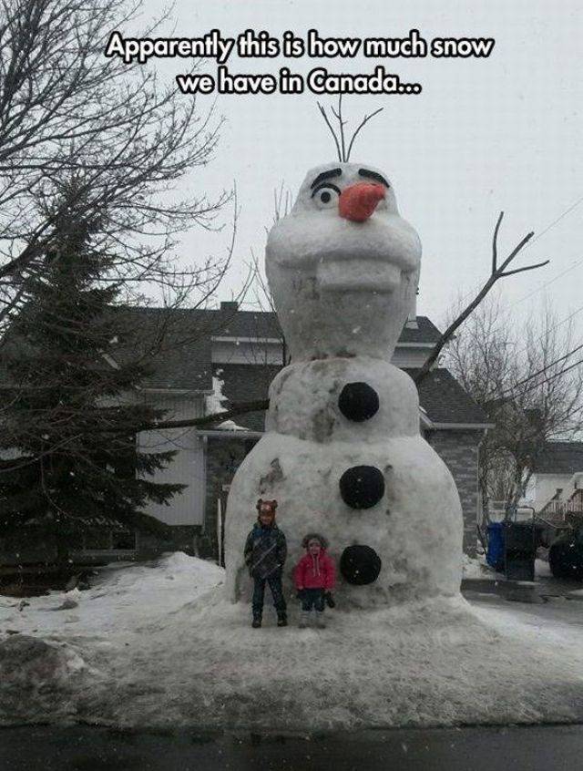 Daily Picdump