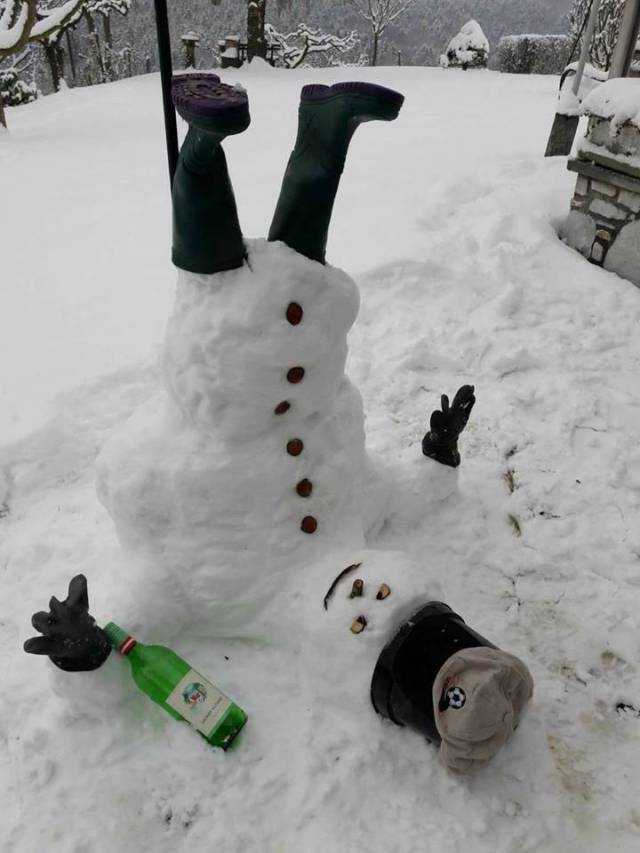 Daily Picdump