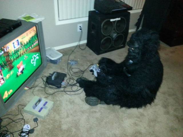Daily Picdump