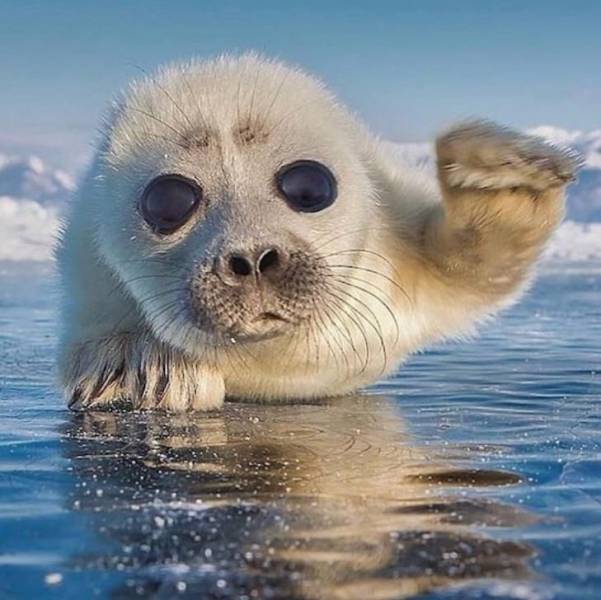 Daily Picdump