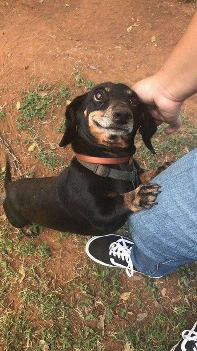 Content Image