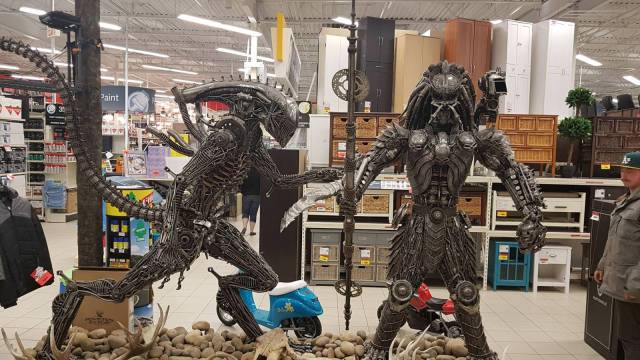 Content Image