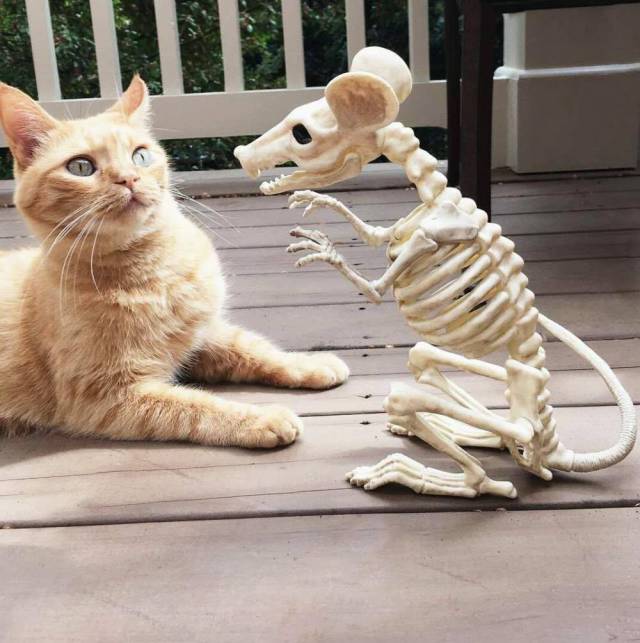 Daily Picdump