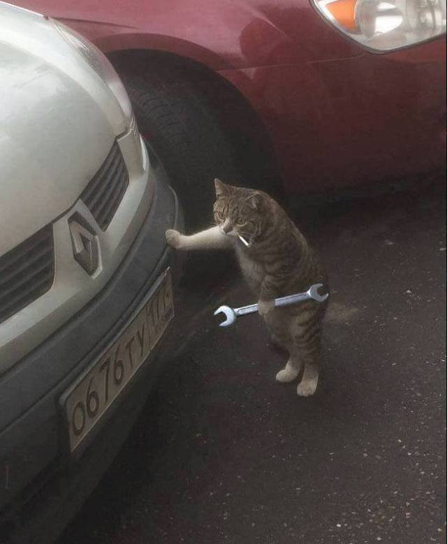 Daily Picdump