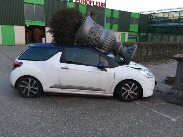 Daily Picdump