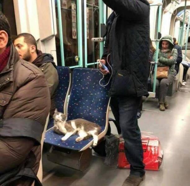 Daily Picdump