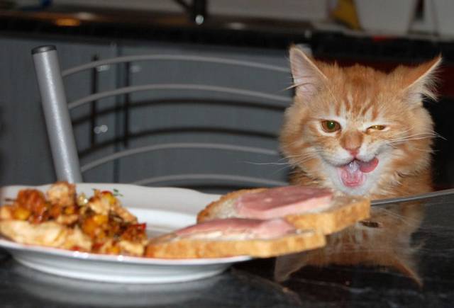 Content Image