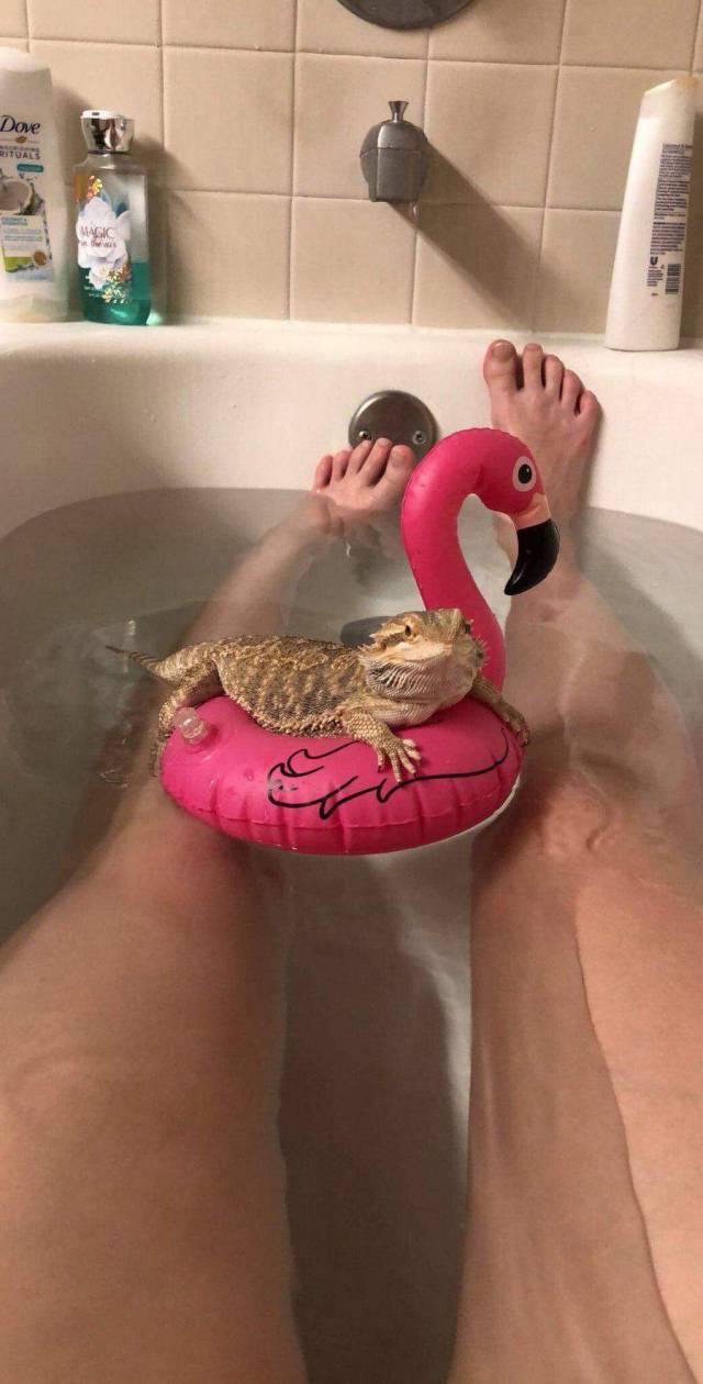 Daily Picdump