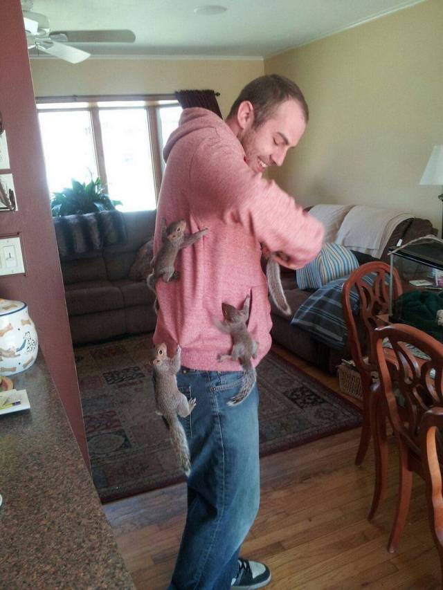 Content Image