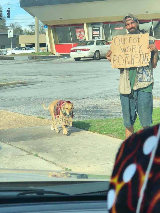 Content Image