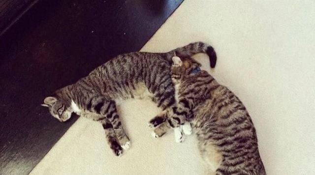 Daily Picdump