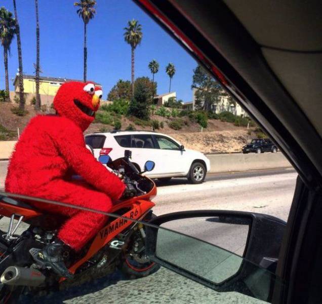 Content Image