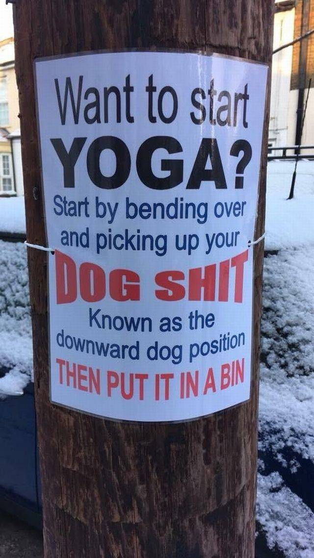 Daily Picdump