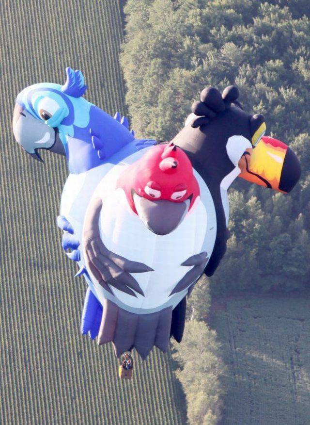 Content Image