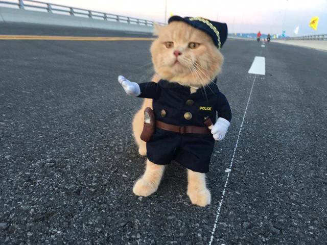 Daily Picdump [WEEKEND EDITION]