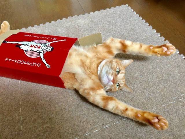 Daily Picdump
