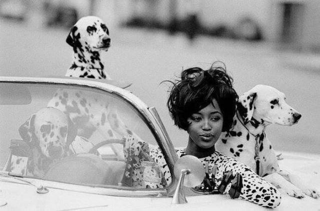 Celebrity Photos From The Past