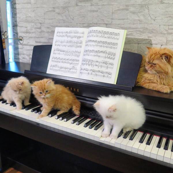 Daily Picdump