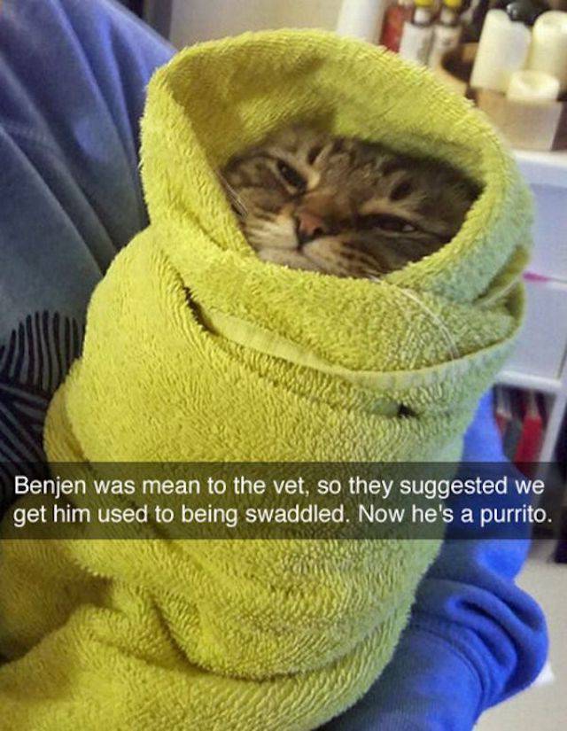 Daily Picdump