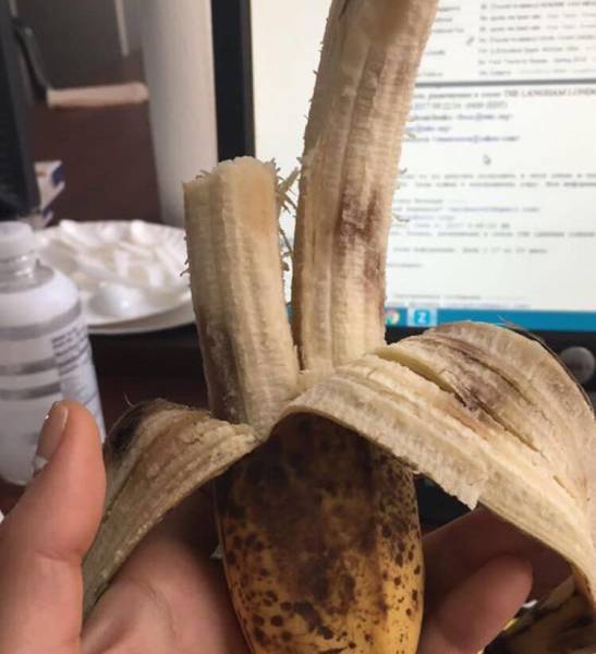 Content Image