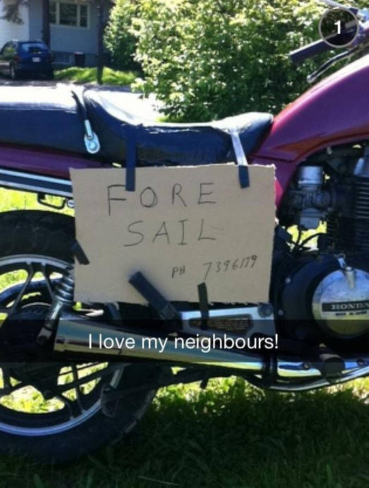 Morning Picdump