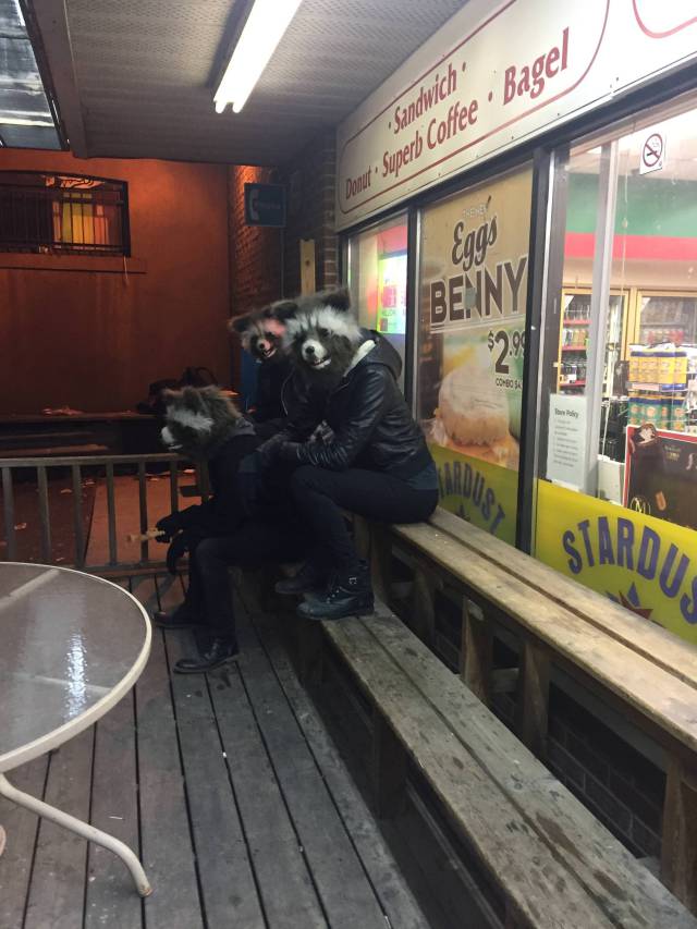 Content Image