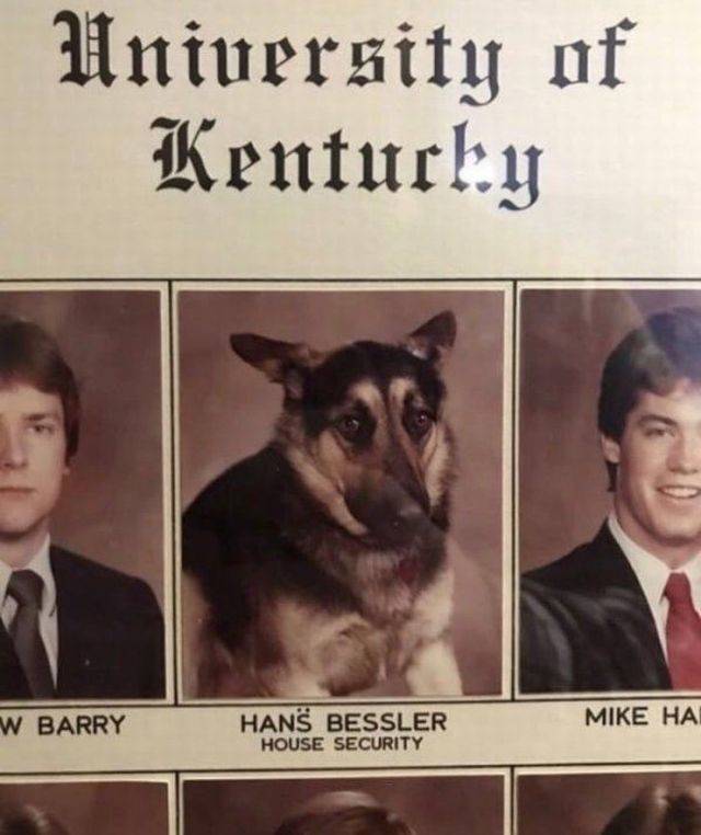 Daily Picdump