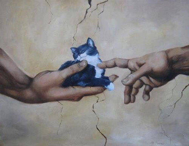 Content Image
