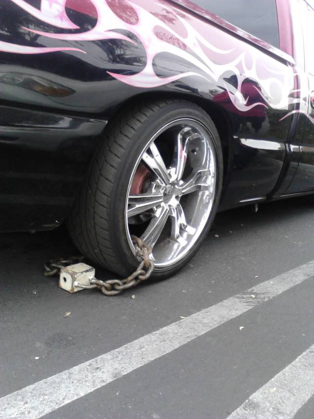 Morning Picdump