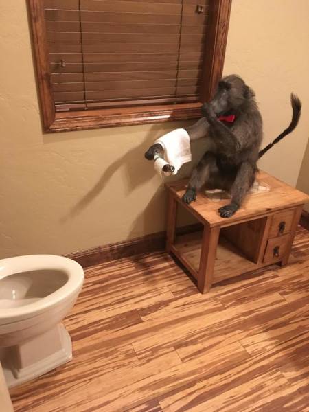 Morning Picdump