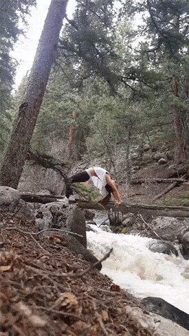 GIFs Of Stupidity At Its Finest