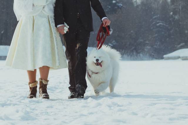 Daily Picdump