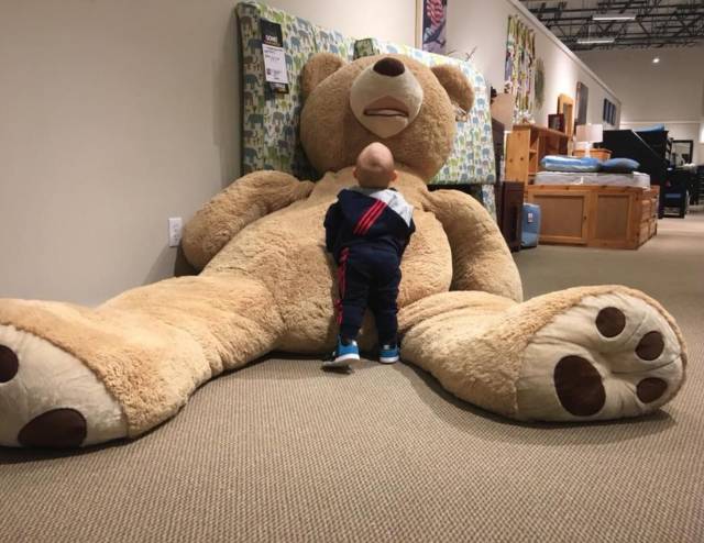 Content Image