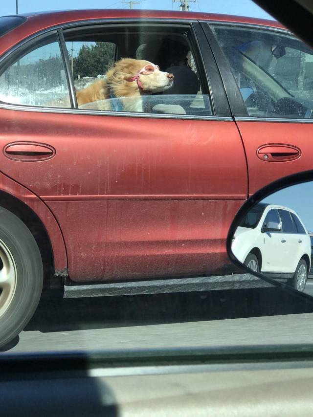 Content Image