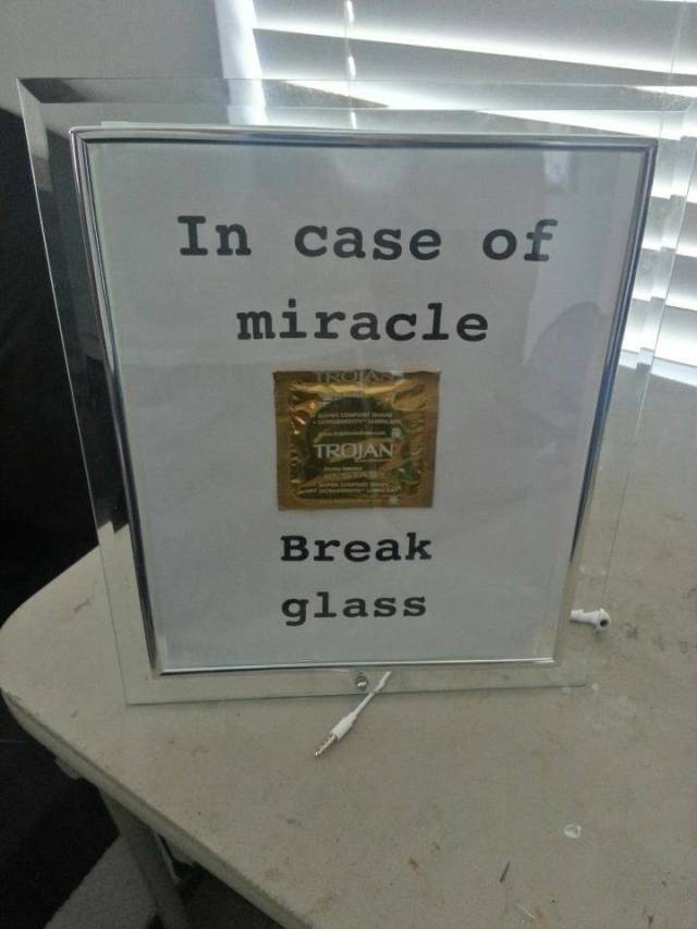 Daily Picdump