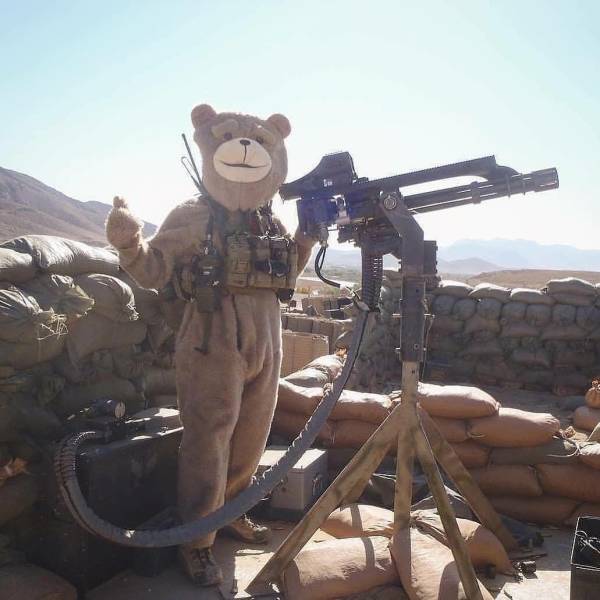 Content Image