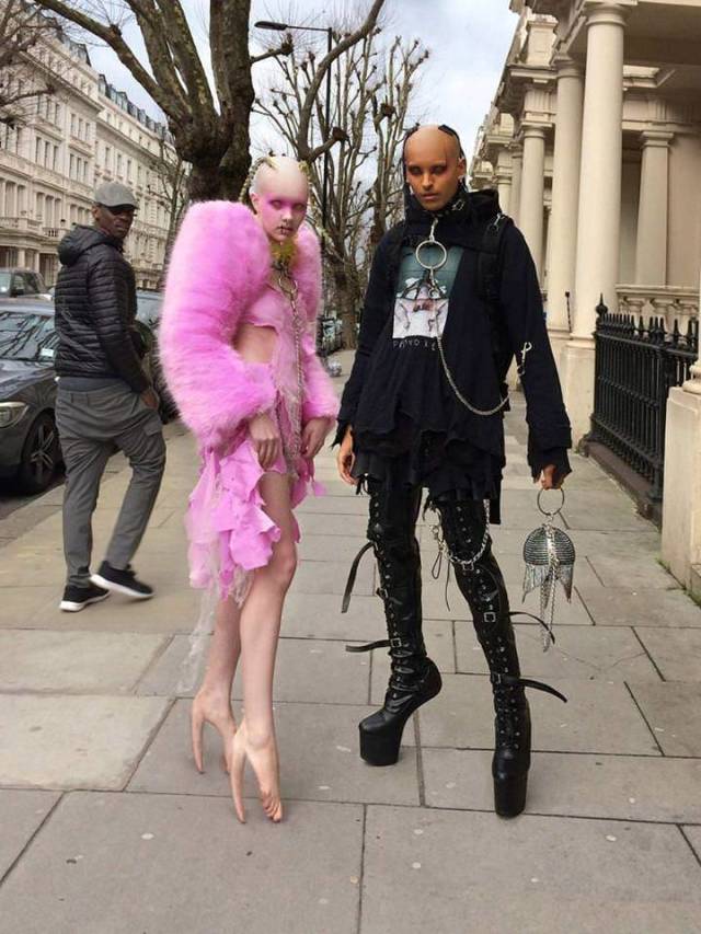 Content Image