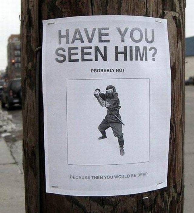 Content Image