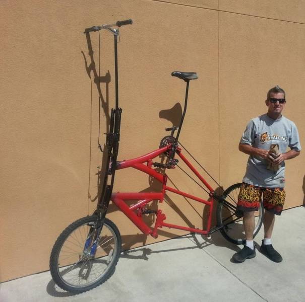 Daily Picdump