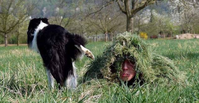 Daily Picdump