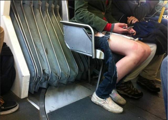 Daily Picdump