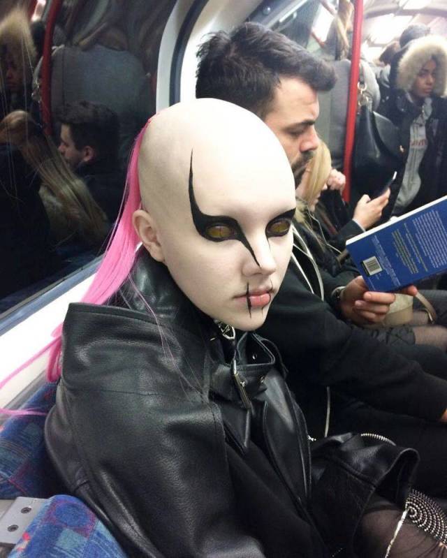 Daily Picdump